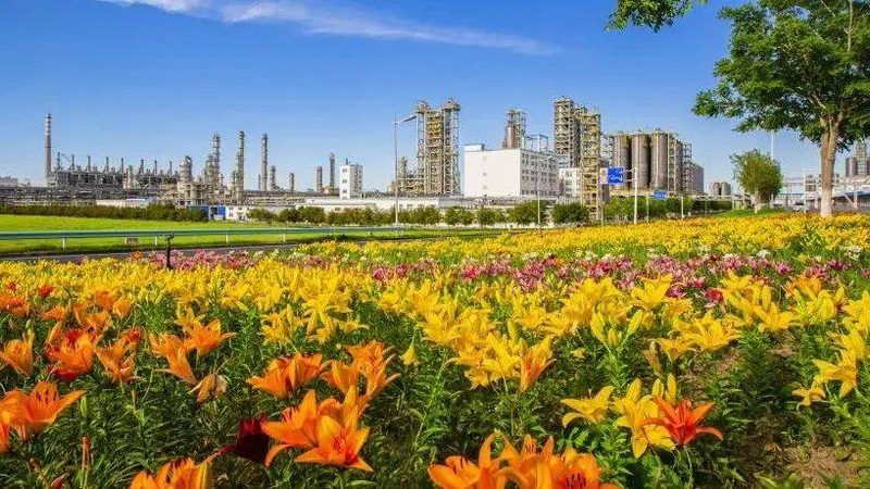 解码山东化工原料生产基地的十大品牌，揭秘其核心价值**