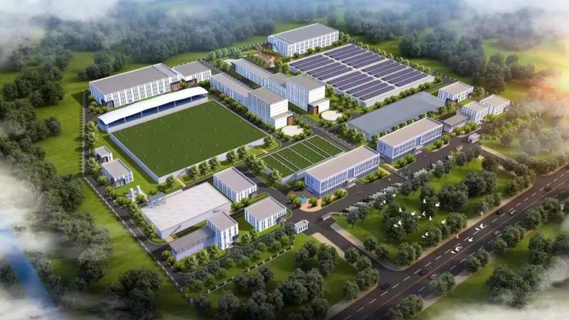 精细化工药剂在自来水厂中主要用于以下几个方面：