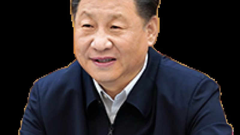 获取样品后，用户应进行以下验证：